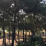 Aroeira Golf