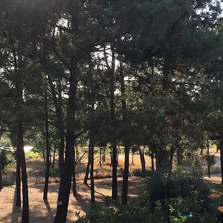 Aroeira Golf